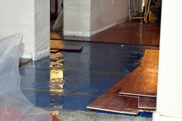 Professional Flood Cleanup technician working in Neshanic Station, NJ